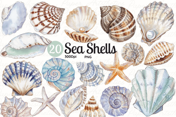 Download Seashell Clipart Sea Shell Illustrations - Hell Collection