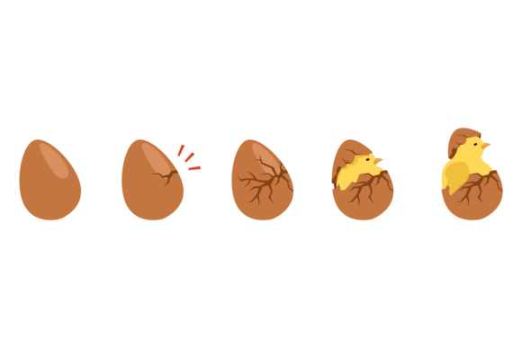 Download Hatching Egg Animation. Newborn Chicken - Animation Collection